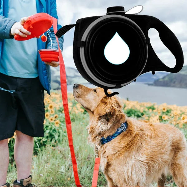 Doggo Safari Charms - 5 in 1 Dog Leash